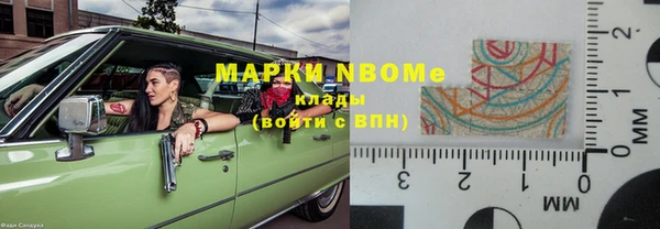 прущие грибы Бородино