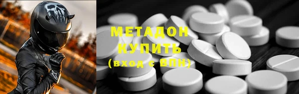 прущие грибы Бородино