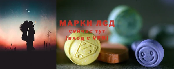 прущие грибы Бородино