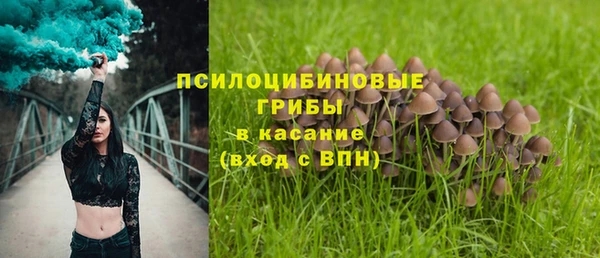 метадон Верея