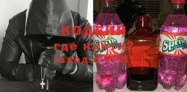 прущие грибы Бородино